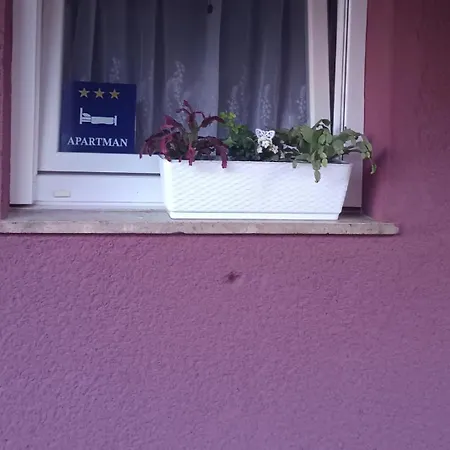 My Little Paradise 아파트