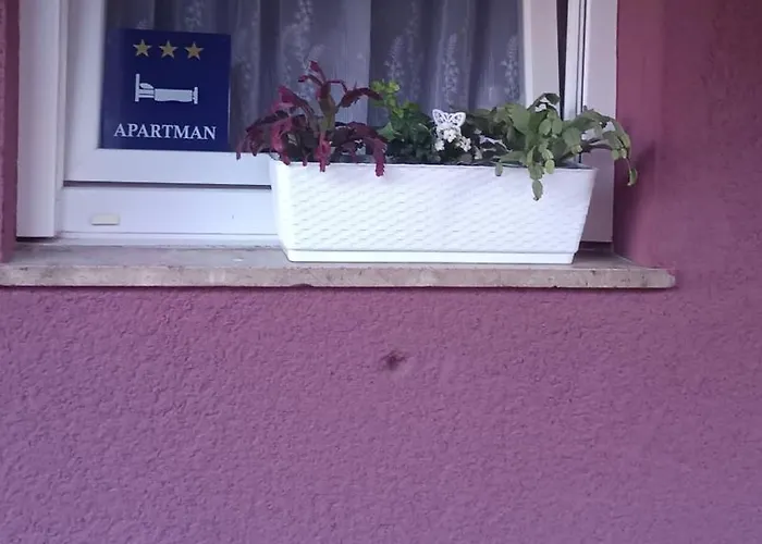 My Little Paradise Apartament